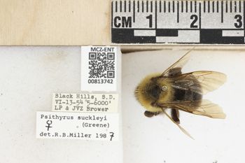 Media type: image;   Entomology 813742 Aspect: labels